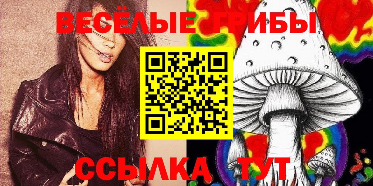 Галлюциногенные грибы Magic Shrooms Кувандык