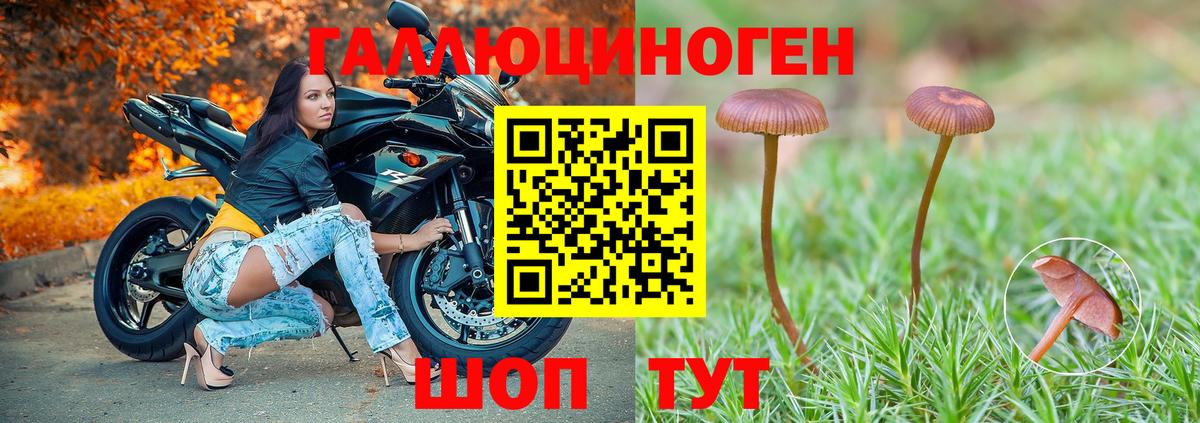 Кувандык  Галлюциногенные грибы Psilocybe  Галлюциногенные грибы Cubensis  Вход с VPN 